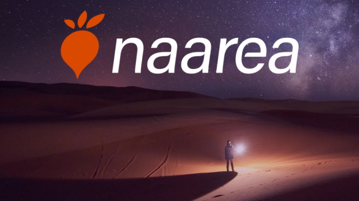 Nuclear Reactors 975 – Naarea Designing Molten Salt eXtra Small Modular Reactor
