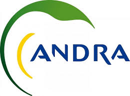 Radioactive Waste 908 – French Company Andra Moving Forward With Documentation Approval For Radioactive Waste Repository