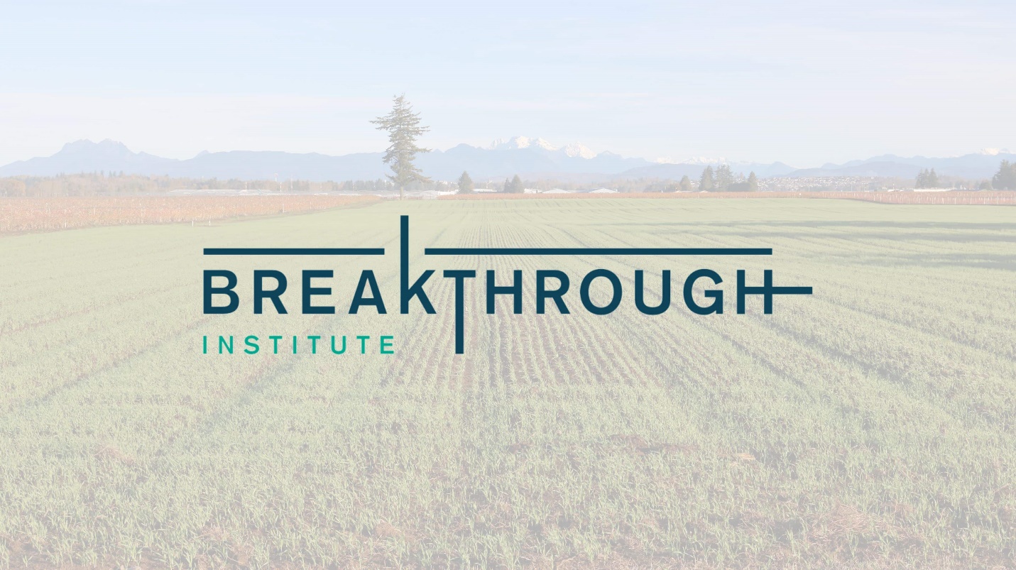 A green field with a cross

AI-generated content may be incorrect.